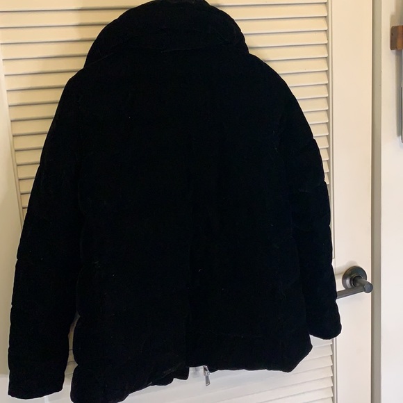 BCBG Velvet Down Puffy Coat - Picture 4 of 5
